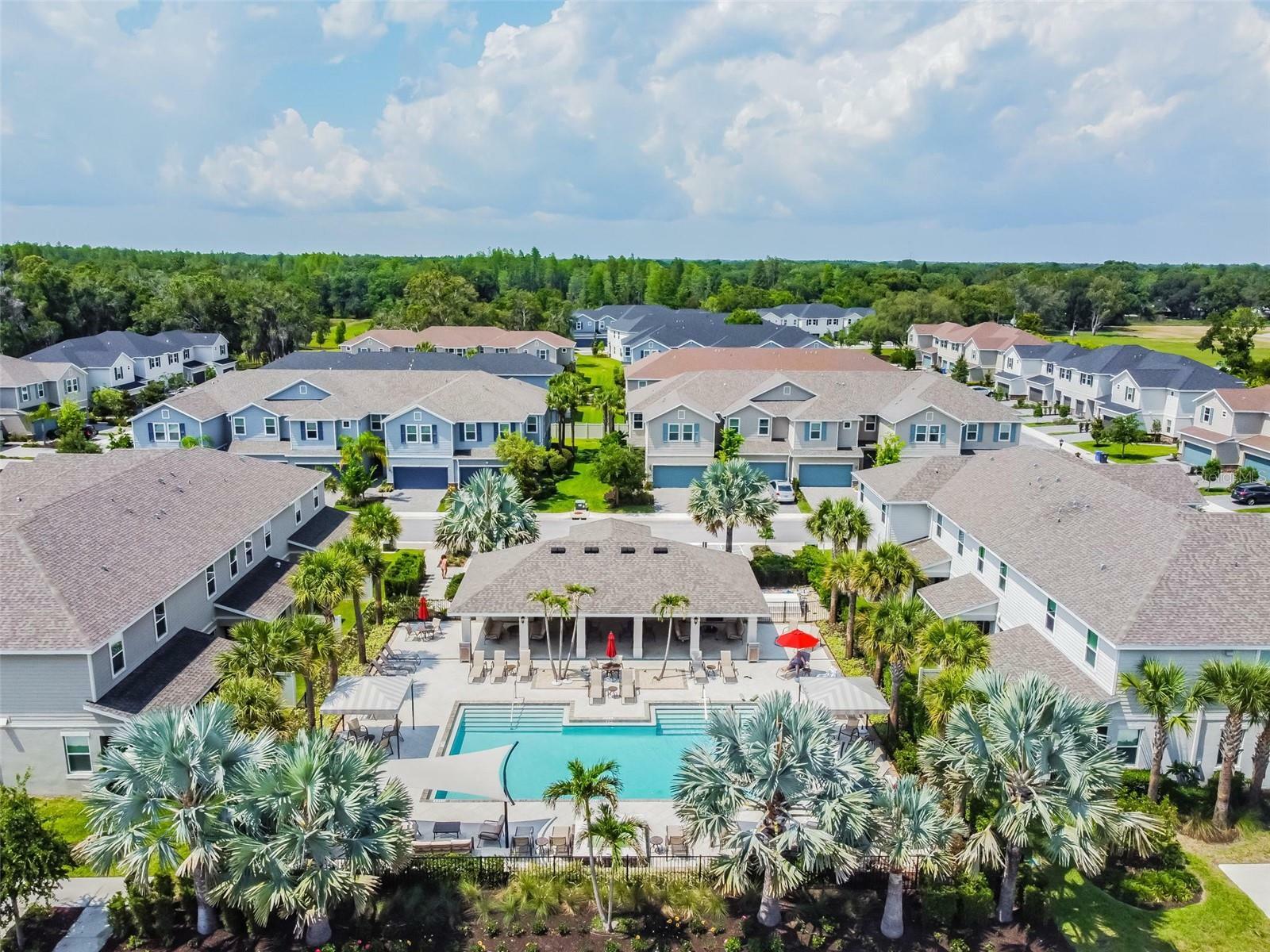 Property Photo:  1119 Lady Gouldian Court  FL 33613 