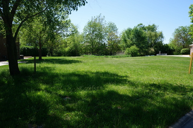 Property Photo:  7436 W Pennington Lane  IL 60449 