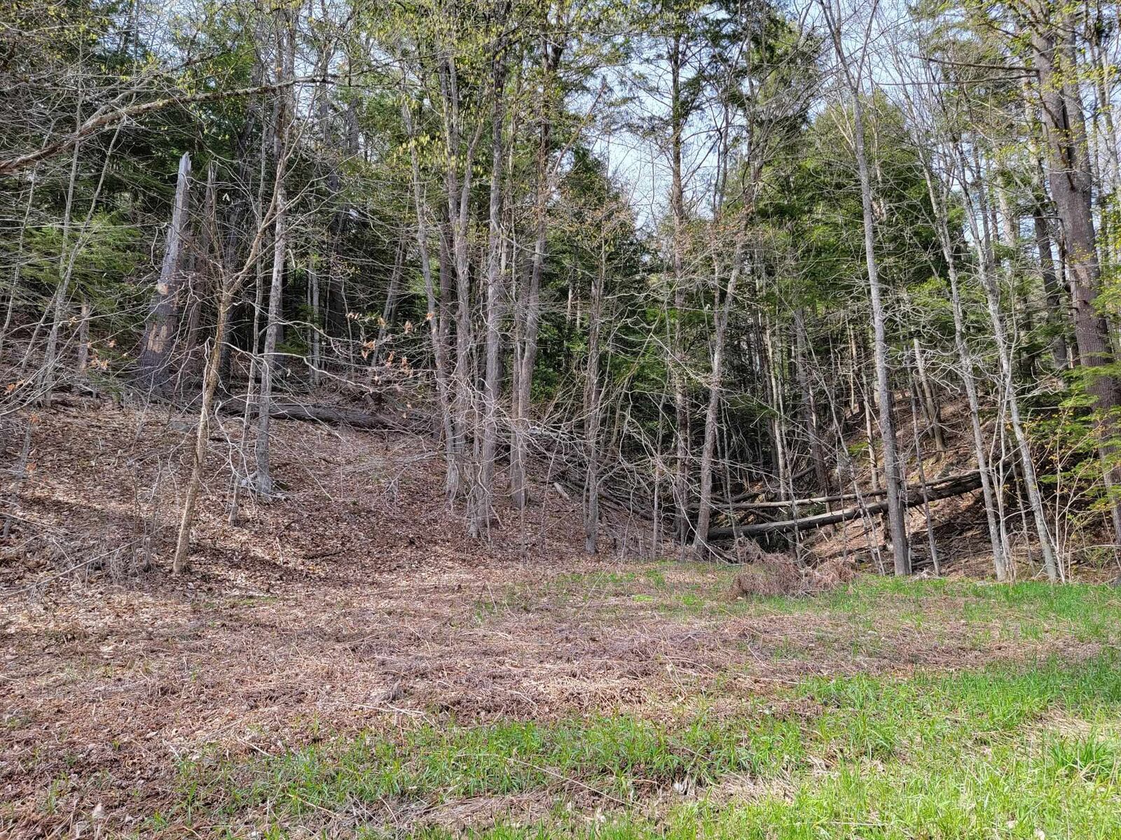 Property Photo:  0 Nh Route 123A  NH 03601 