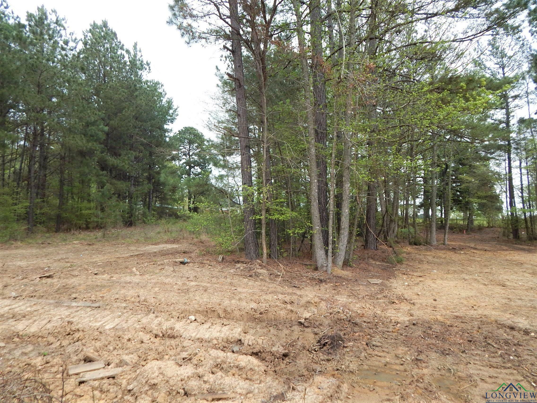 Property Photo:  Tbd N Iris Rd Tract 5  TX 75683 