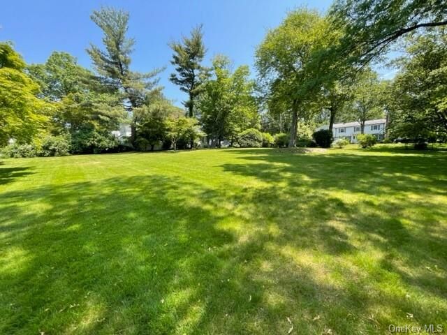 Property Photo: 0 Salem Road NY 10603