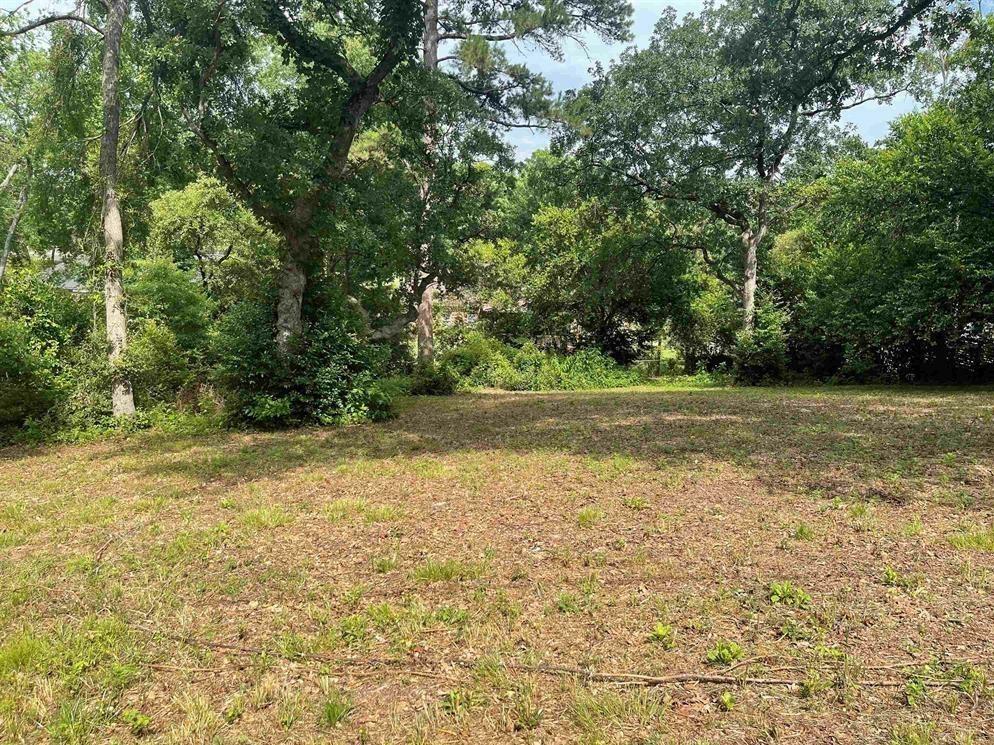 309 Harmony Lane  Hideaway TX 75771 photo