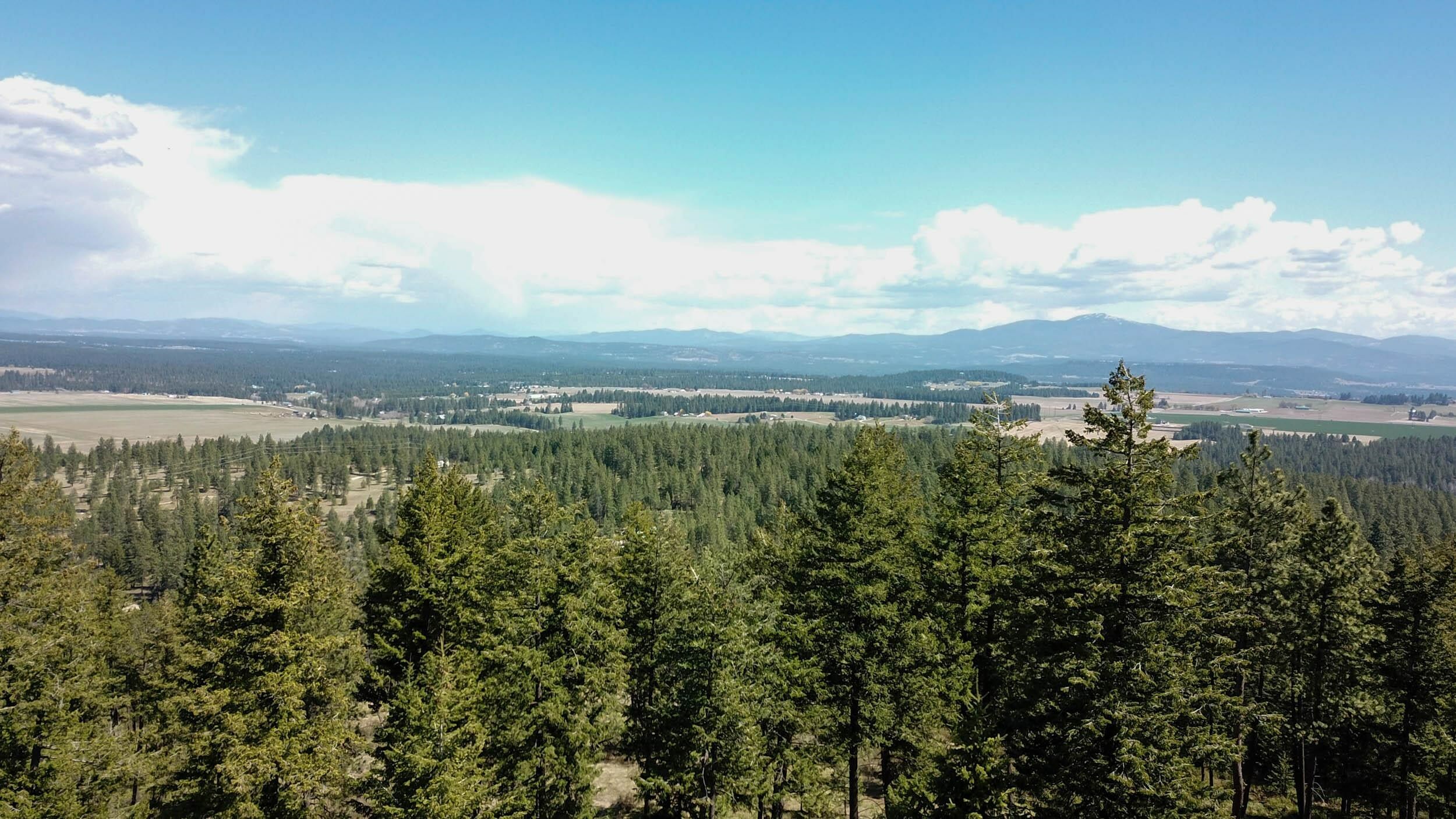 Nna Brant Rd  Colbert WA 99005 photo