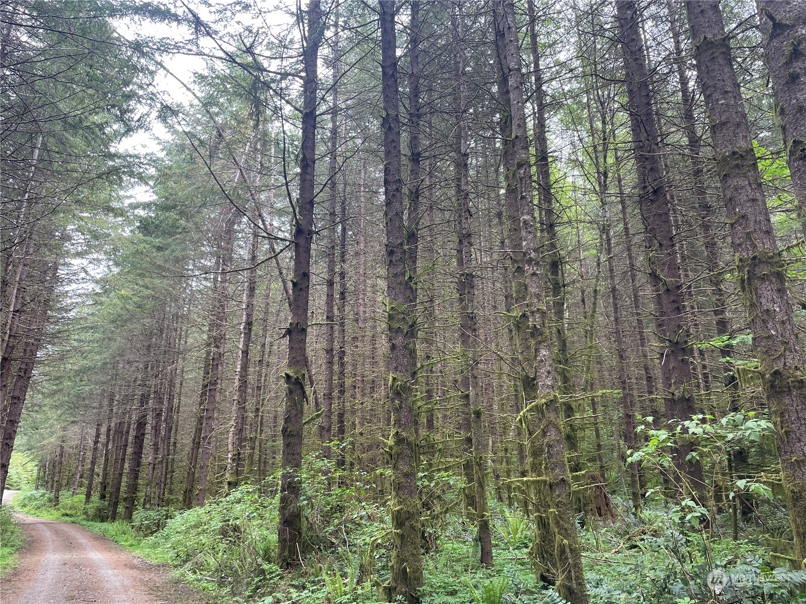 Property Photo: 0 Rose Valley Road WA 98626