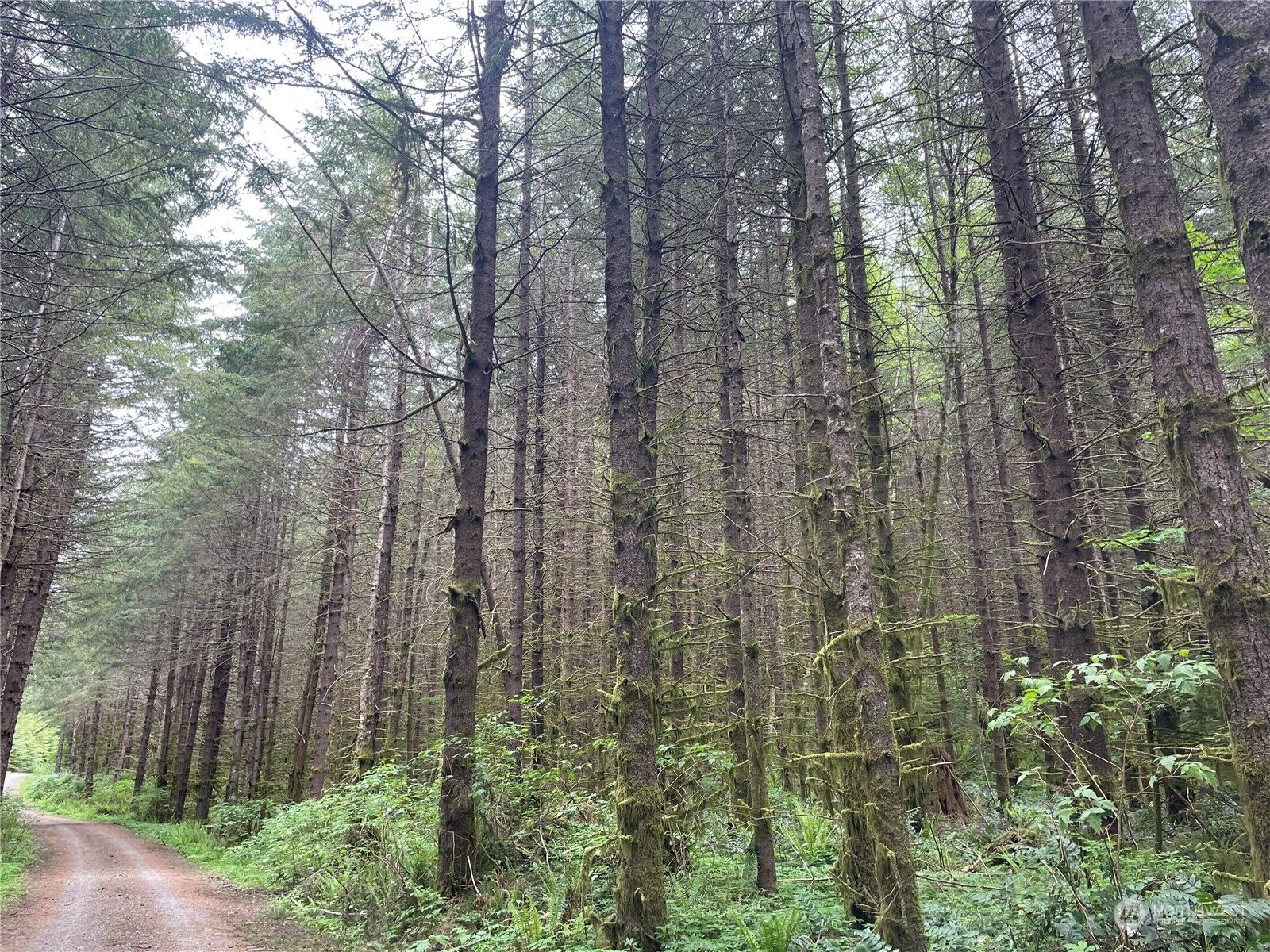 Property Photo:  0  Rose Valley Road  WA 98626 