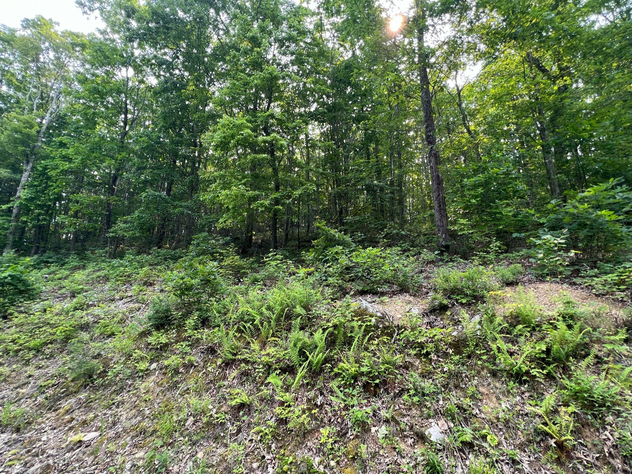 Property Photo:  Lot 29 Katy Drive Overlook At Greenbrier  WV 24986 