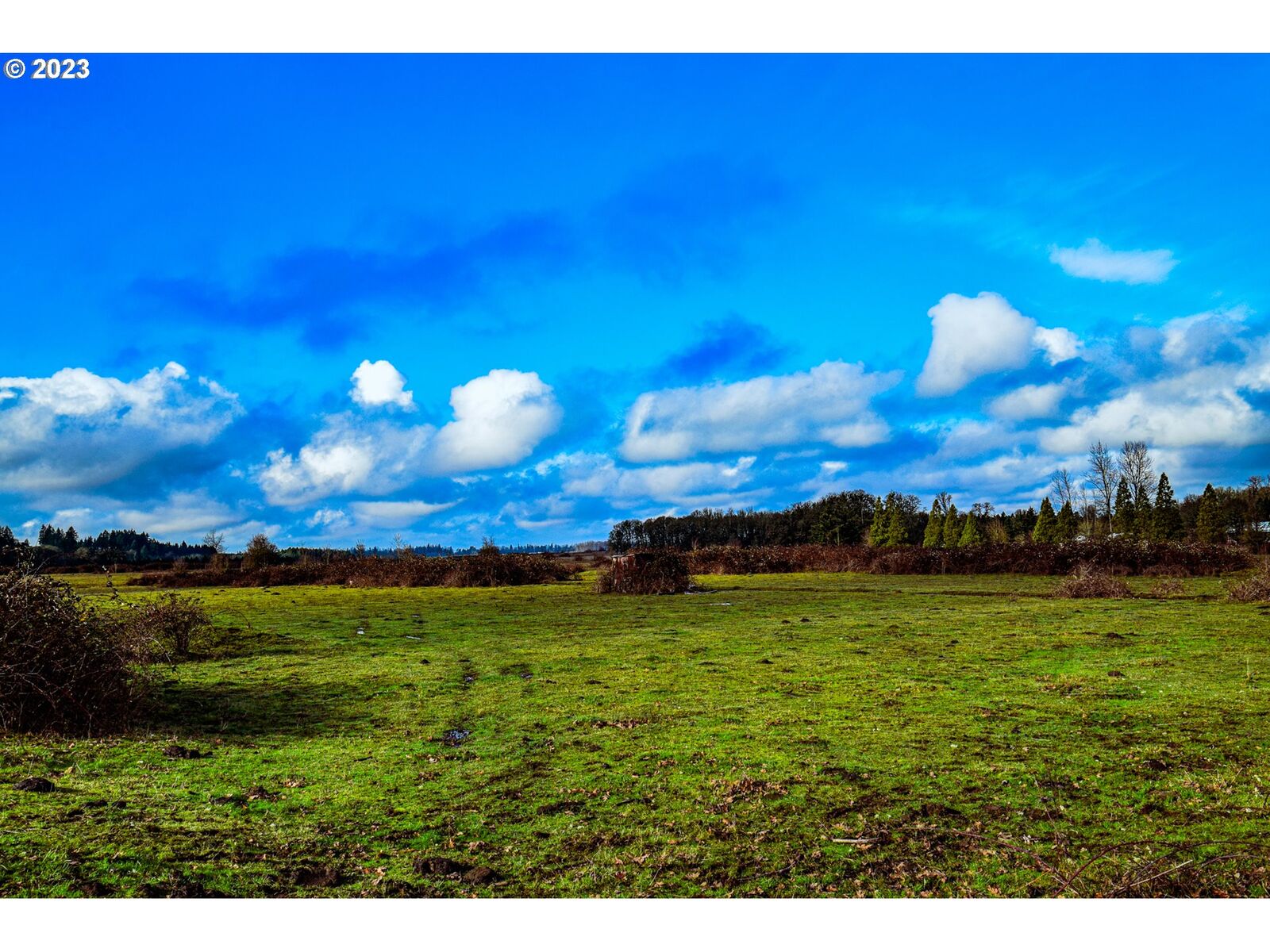 Property Photo: 39135 Mount Hope Rd 505 OR 97355