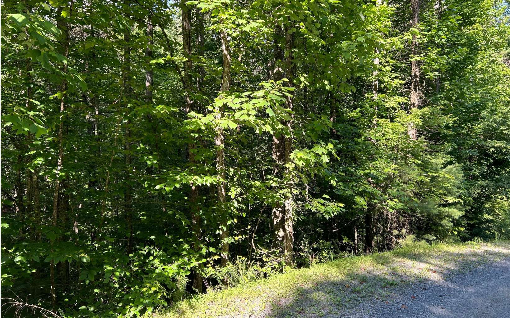 Property Photo: Lt462 Eagle Mtn Ph 6 GA 30540