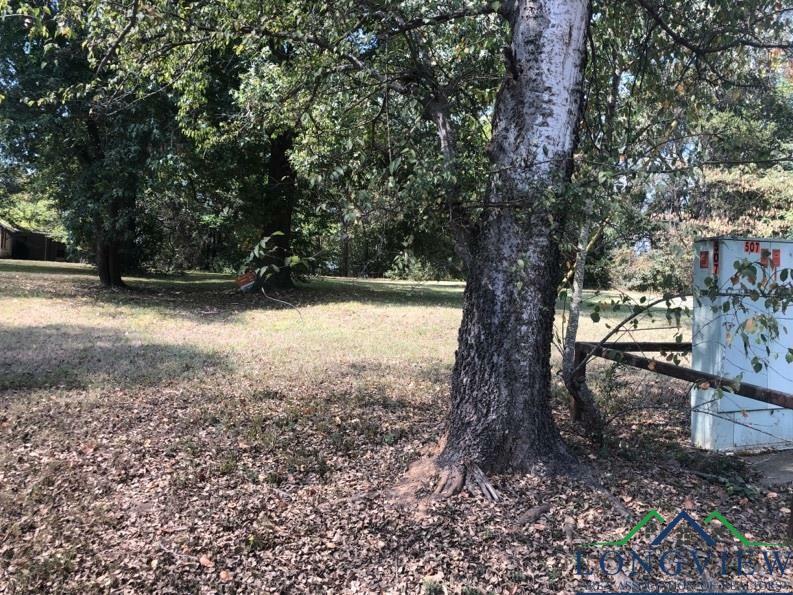 Property Photo:  507 S Harrison Street  TX 75601 