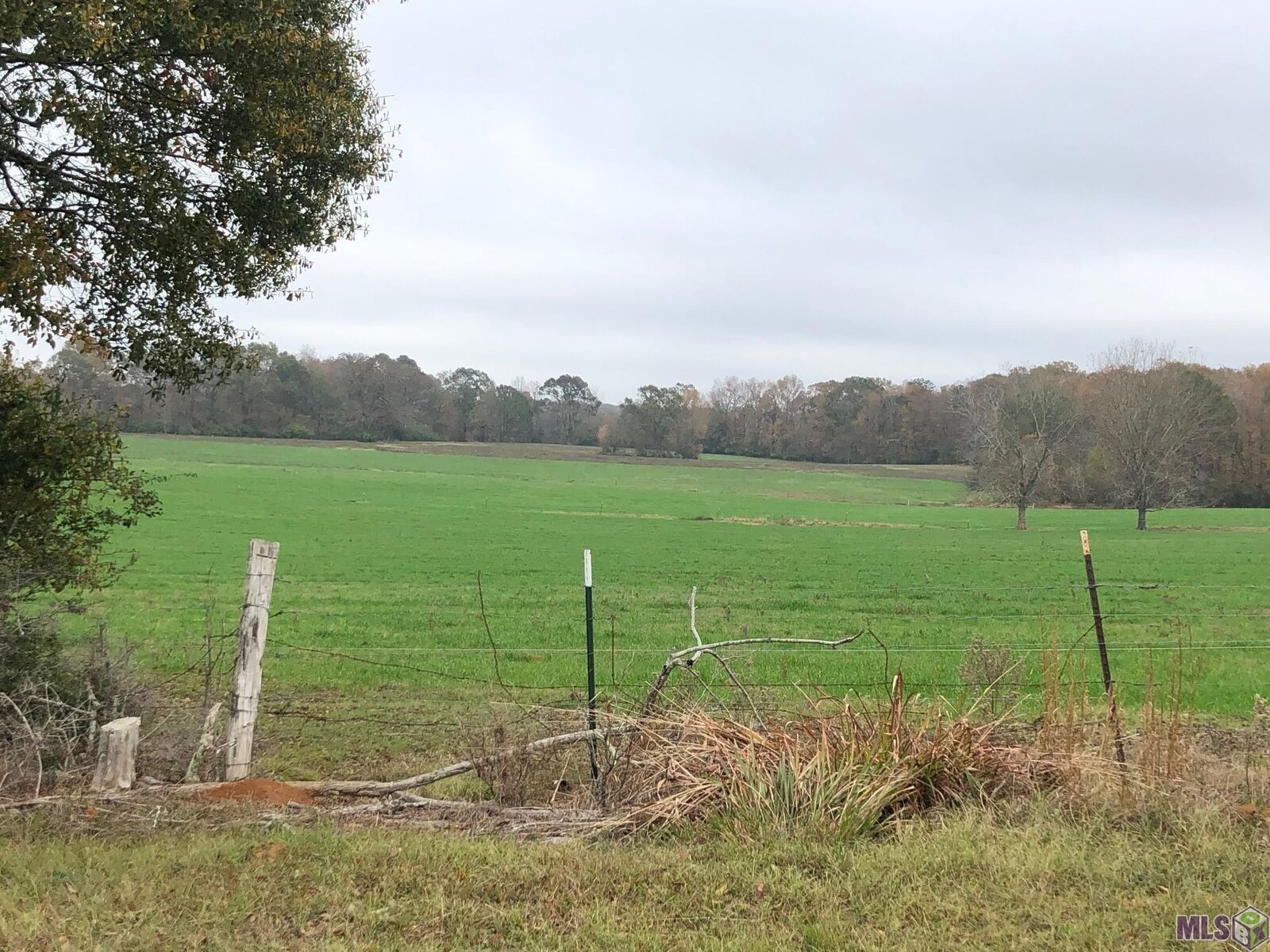 Property Photo: 13610 La Hwy 967 LA 70775