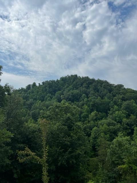 Property Photo:  4562 Crane Creek Road Parcel #3  KY 40962 