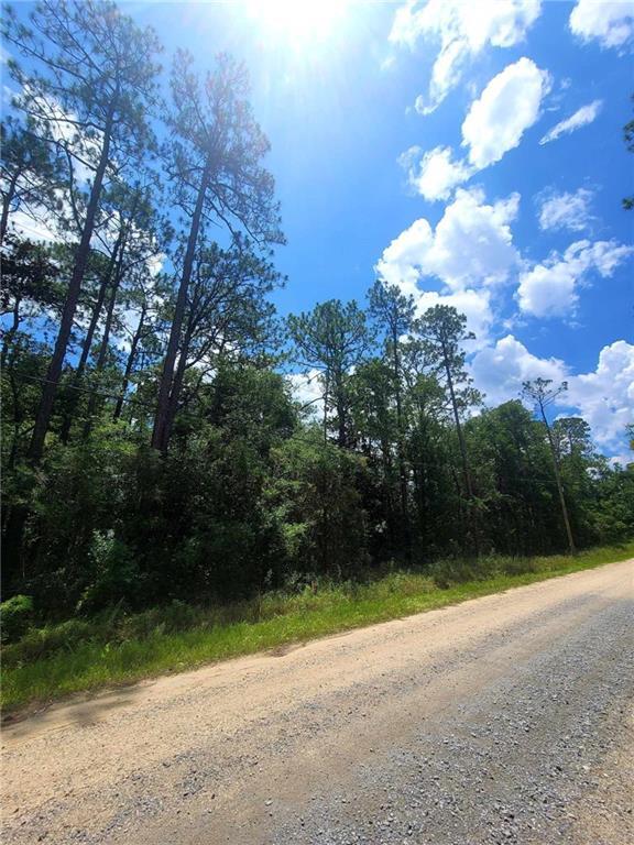 Property Photo: 0 Dolphin Drive AL 36582