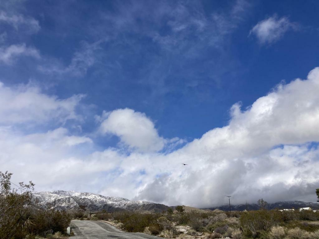 0 Big Morongo  Morongo Valley CA 92256 photo