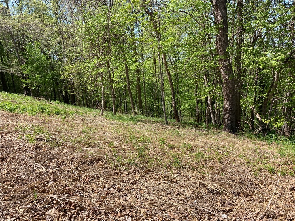 Property Photo:  3 Bobwhite Lane  AR 72631 