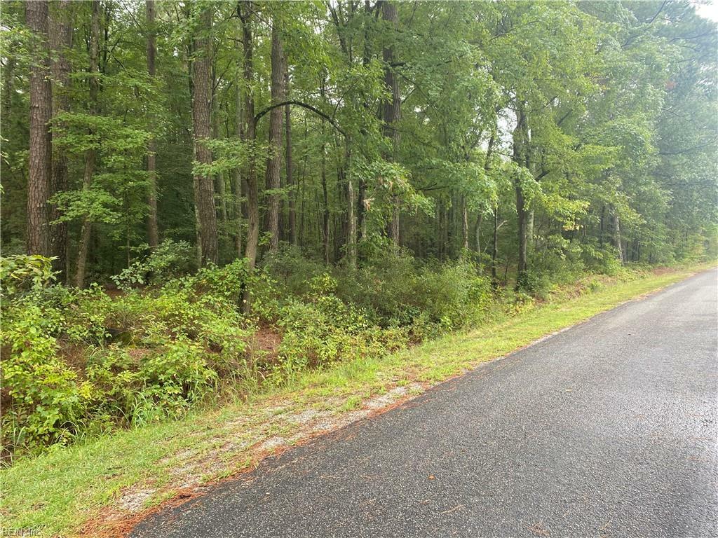 Property Photo:  0 Hicks Wharf Road  VA 23025 