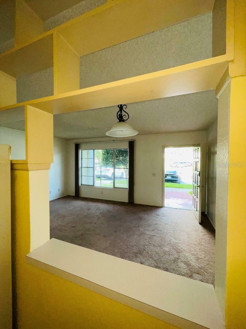 Property Photo:  2391 Sumatran Way 25  FL 33763 