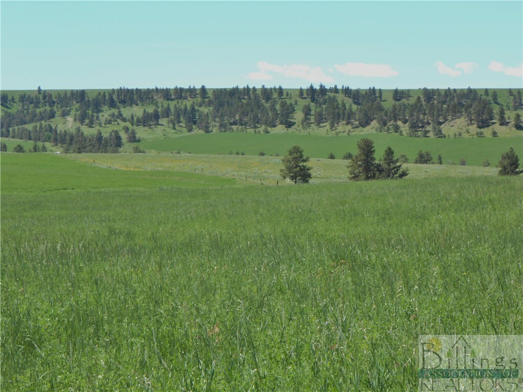 Property Photo: 413 Cole Creek Road MT 59041