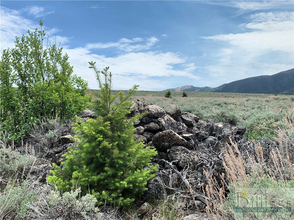 Property Photo: Lot 13 Meeteetse Meadows Road MT 59068