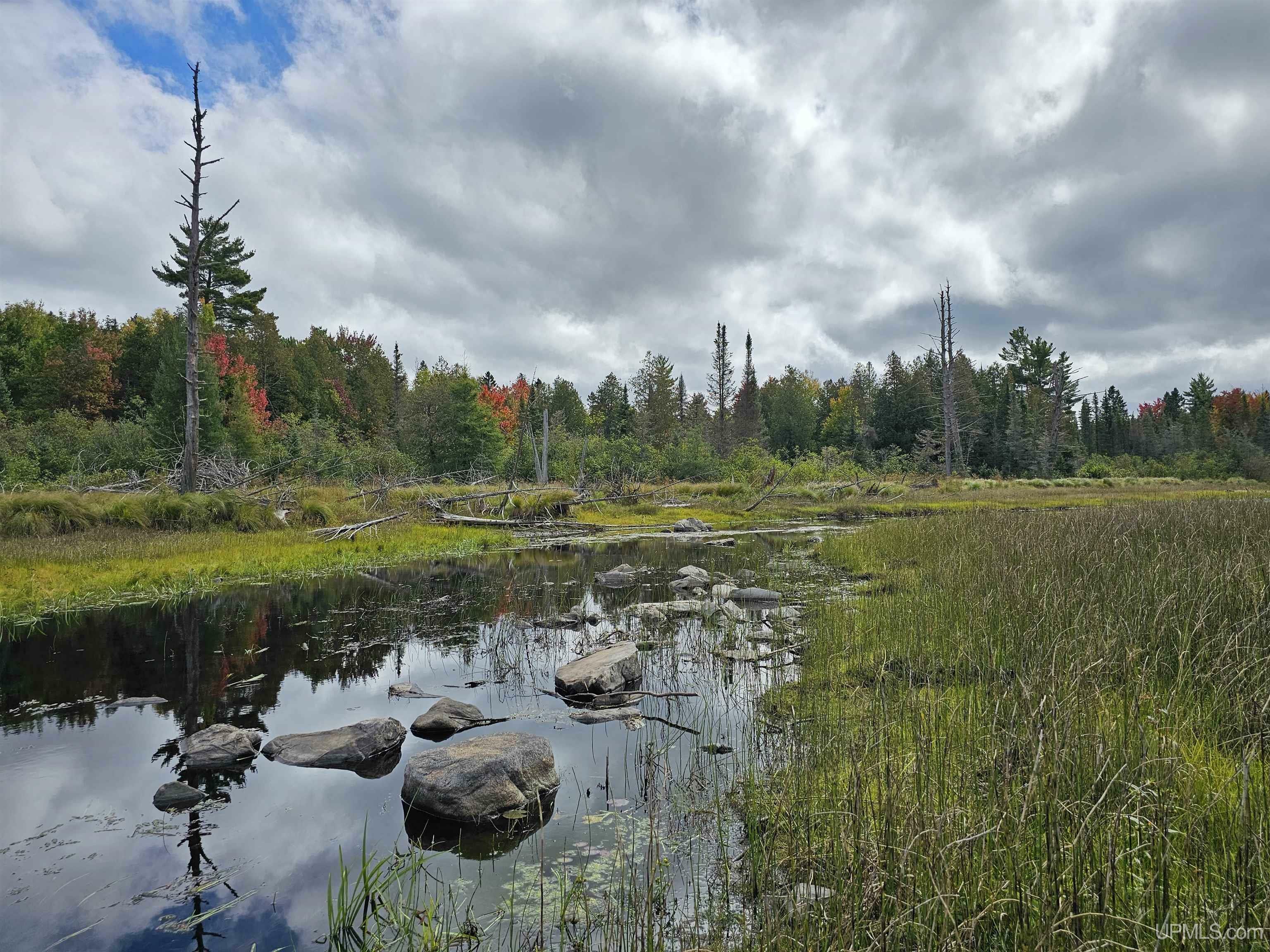 Property Photo: 2.7 Ac Ned Lake W MI 49908