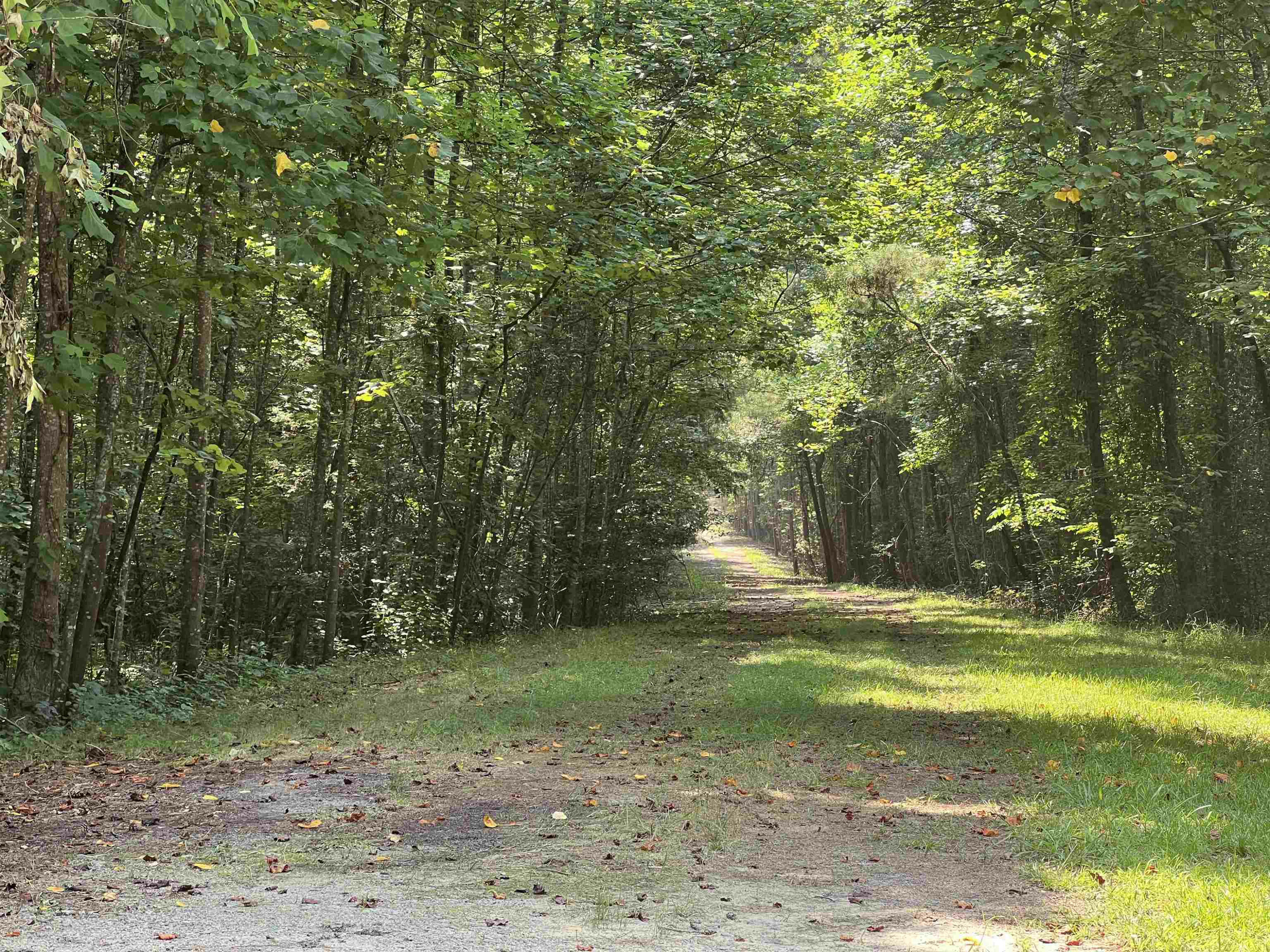 Property Photo:  365 Sanderling Road  NC 28394 