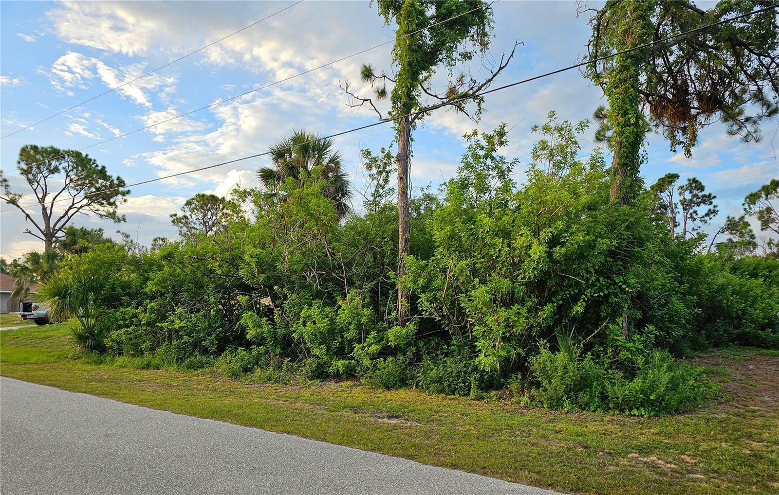 Property Photo:  11939 Gretchen Avenue  FL 33981 