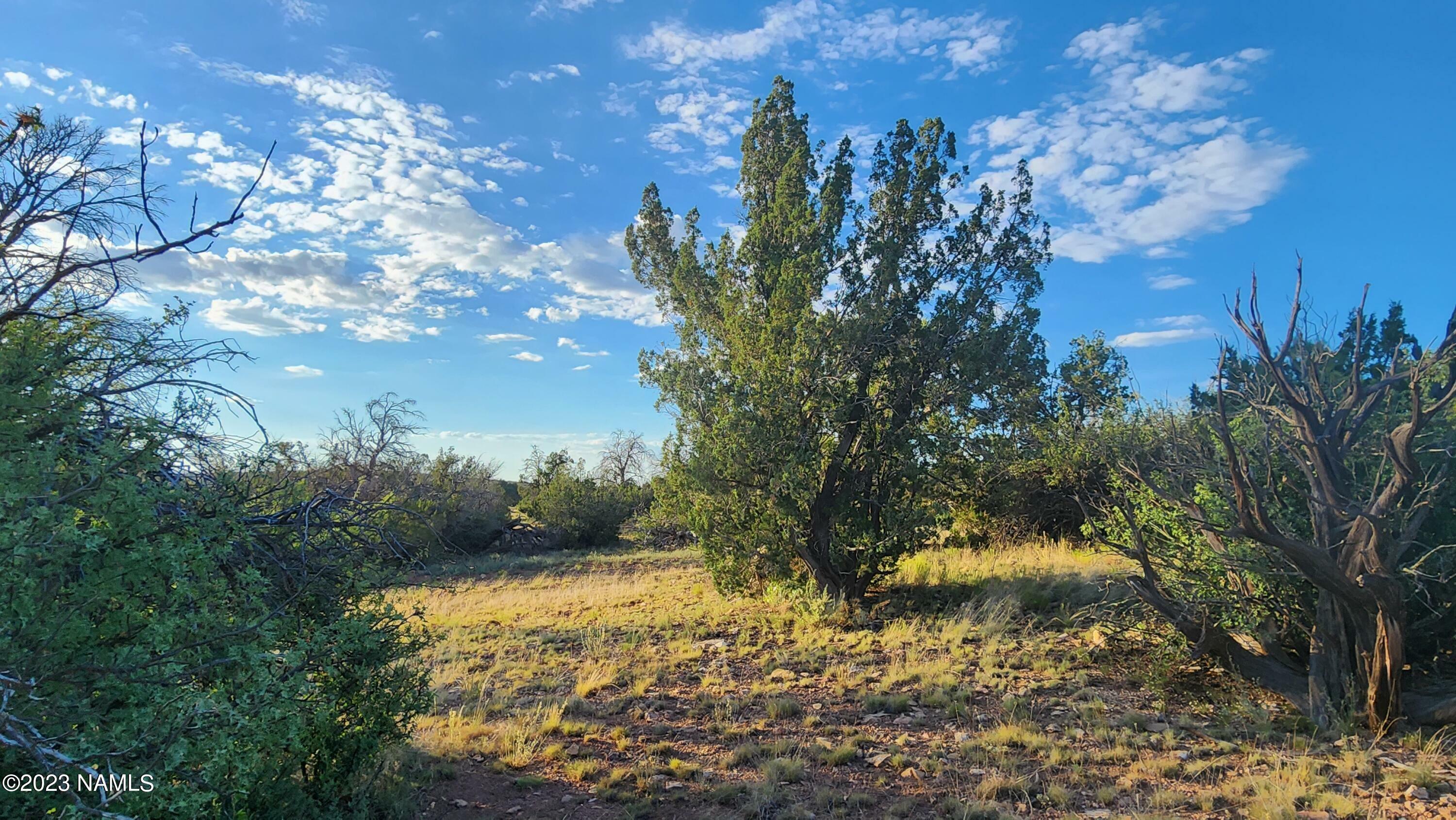 Property Photo:  5893 Fire Sky Trail  AZ 86046 