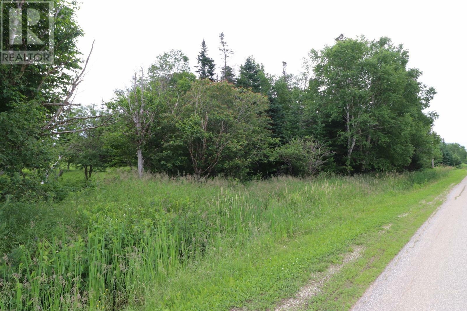 5-7 Maple Avenue  Cormack NL A8A 2N3 photo