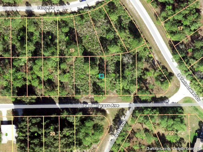 Property Photo:  28050 Pendergrass Avenue  FL 33955 