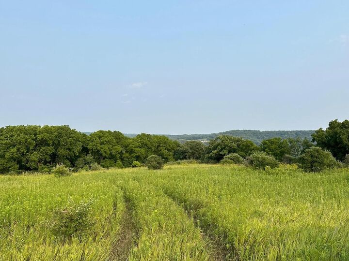 Address not disclosed photo