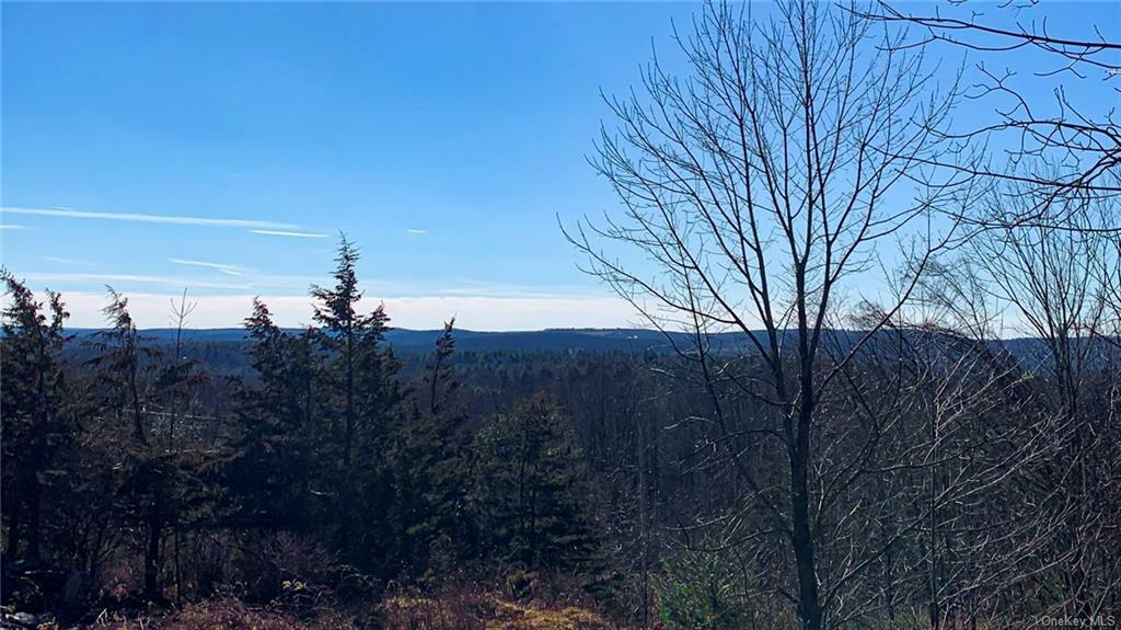 Property Photo:  11 Red Rock Road  NY 12489 