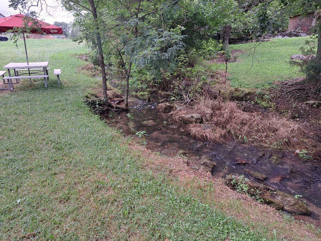 Property Photo:  1980 Stone Dam Road  TN 37641 