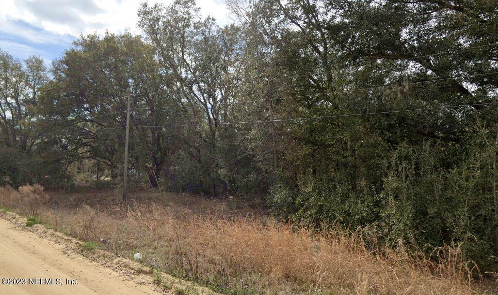 Property Photo: Lot 28 Lenore Avenue FL 32148