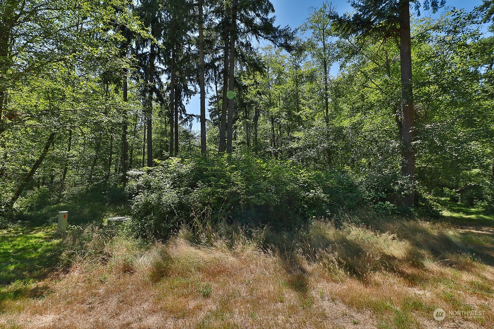 Property Photo:  0 Lot 3 Goss Lake Road  WA 98249 