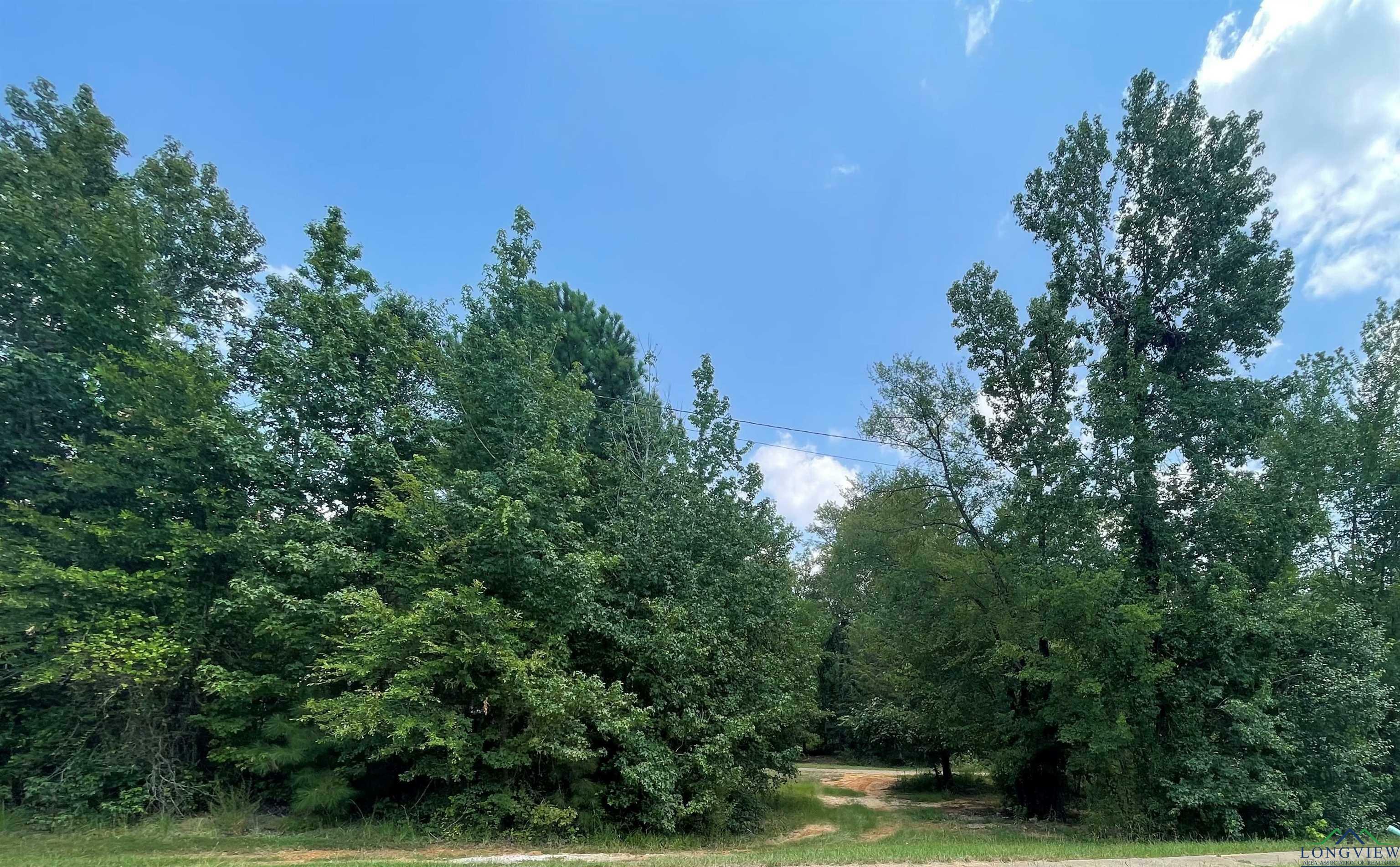 Property Photo:  3004 Bull Run Trail  TX 75604 