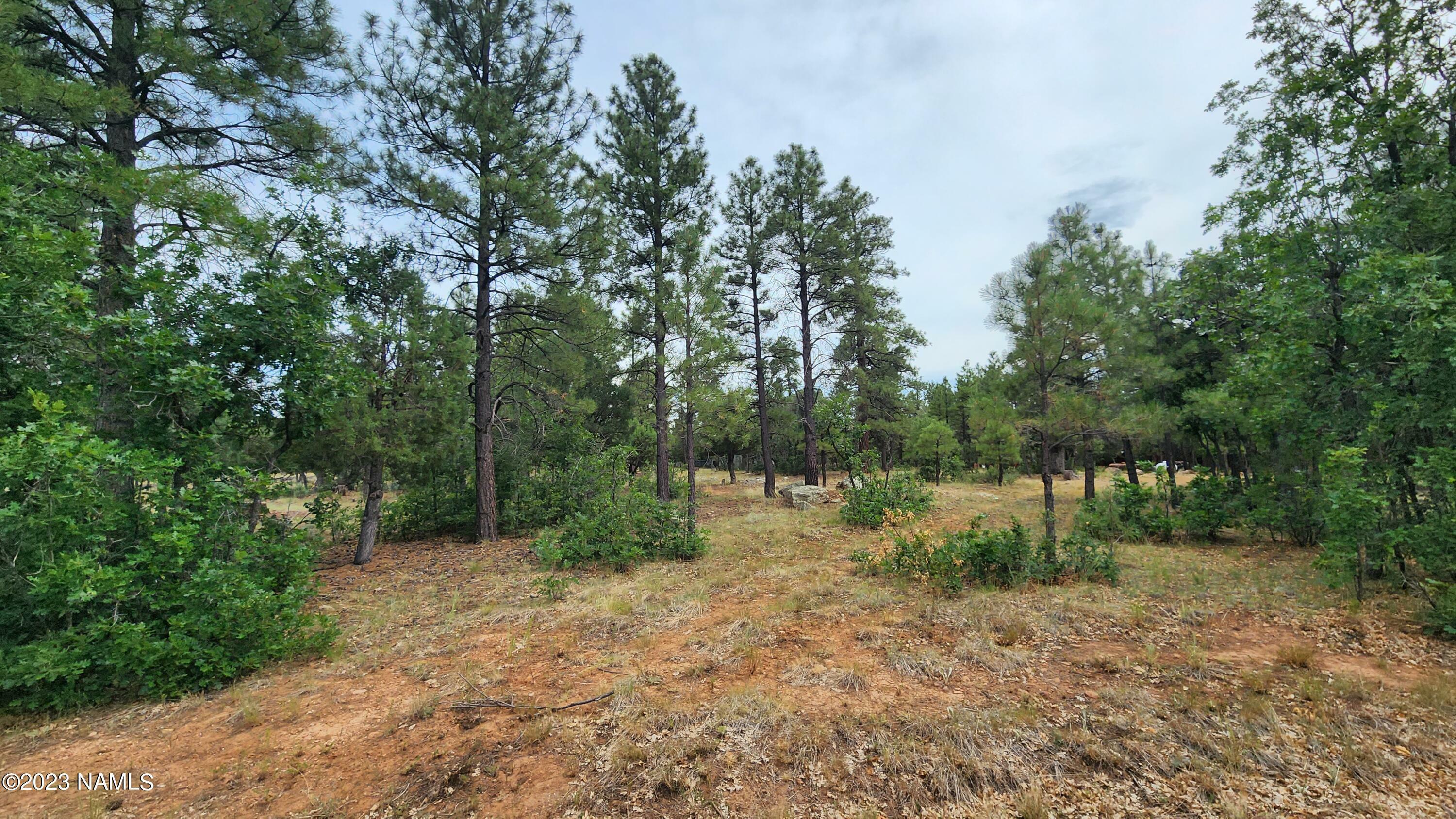 Property Photo:  2940 Roundup Circle  AZ 86024 