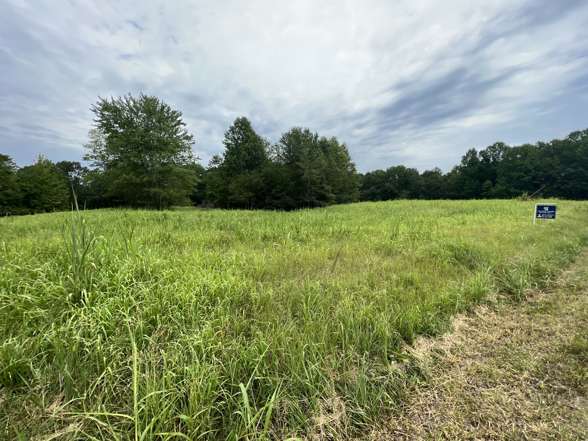 Property Photo:  0 Bear Creek Rd  TN 38450 