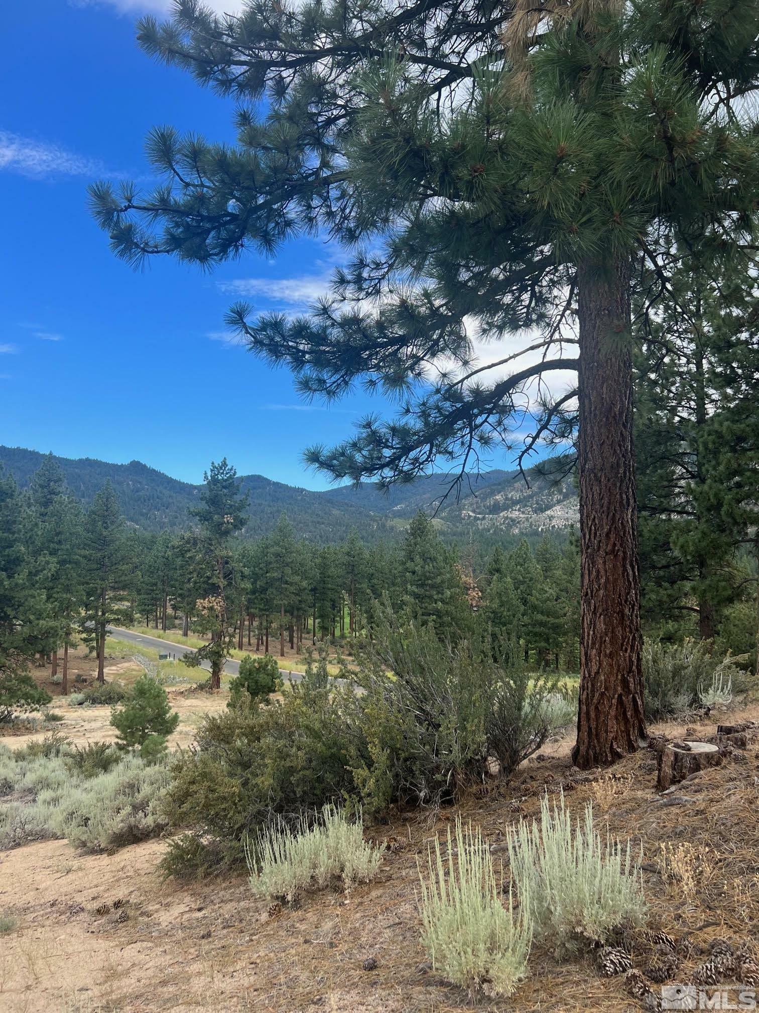 Property Photo:  569 Headwaters Wy 358  NV 89705 