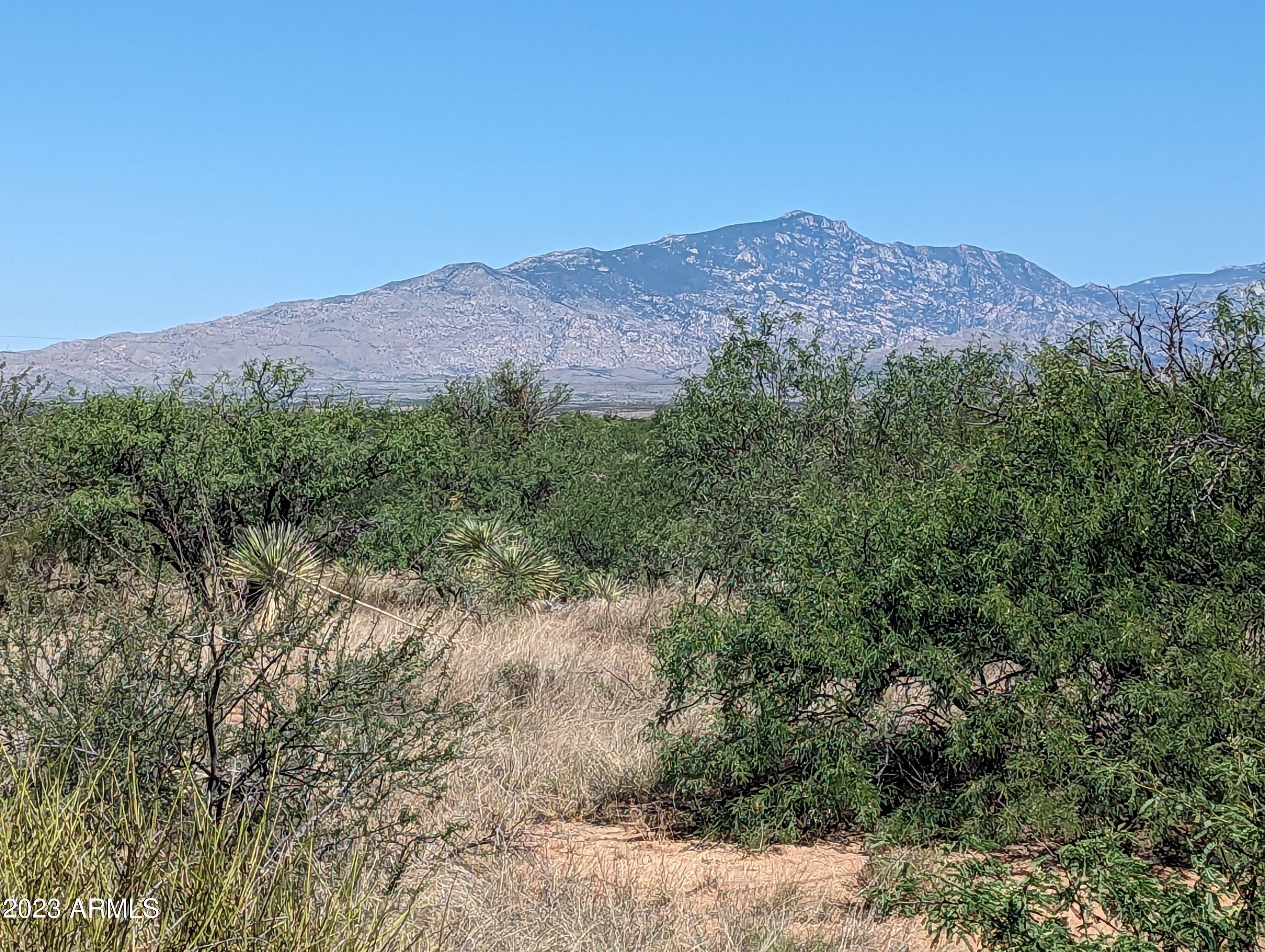 Property Photo:  Tbd N Wildcat Place  AZ 85602 