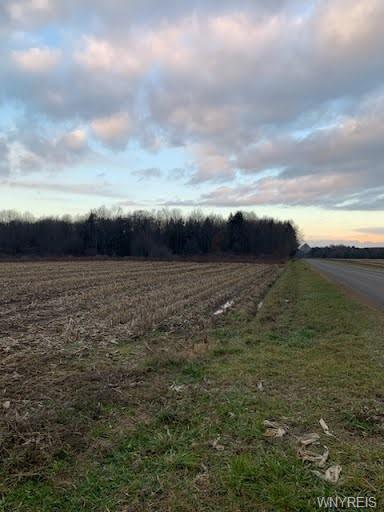 Property Photo: 0 Oswald Road NY 14034