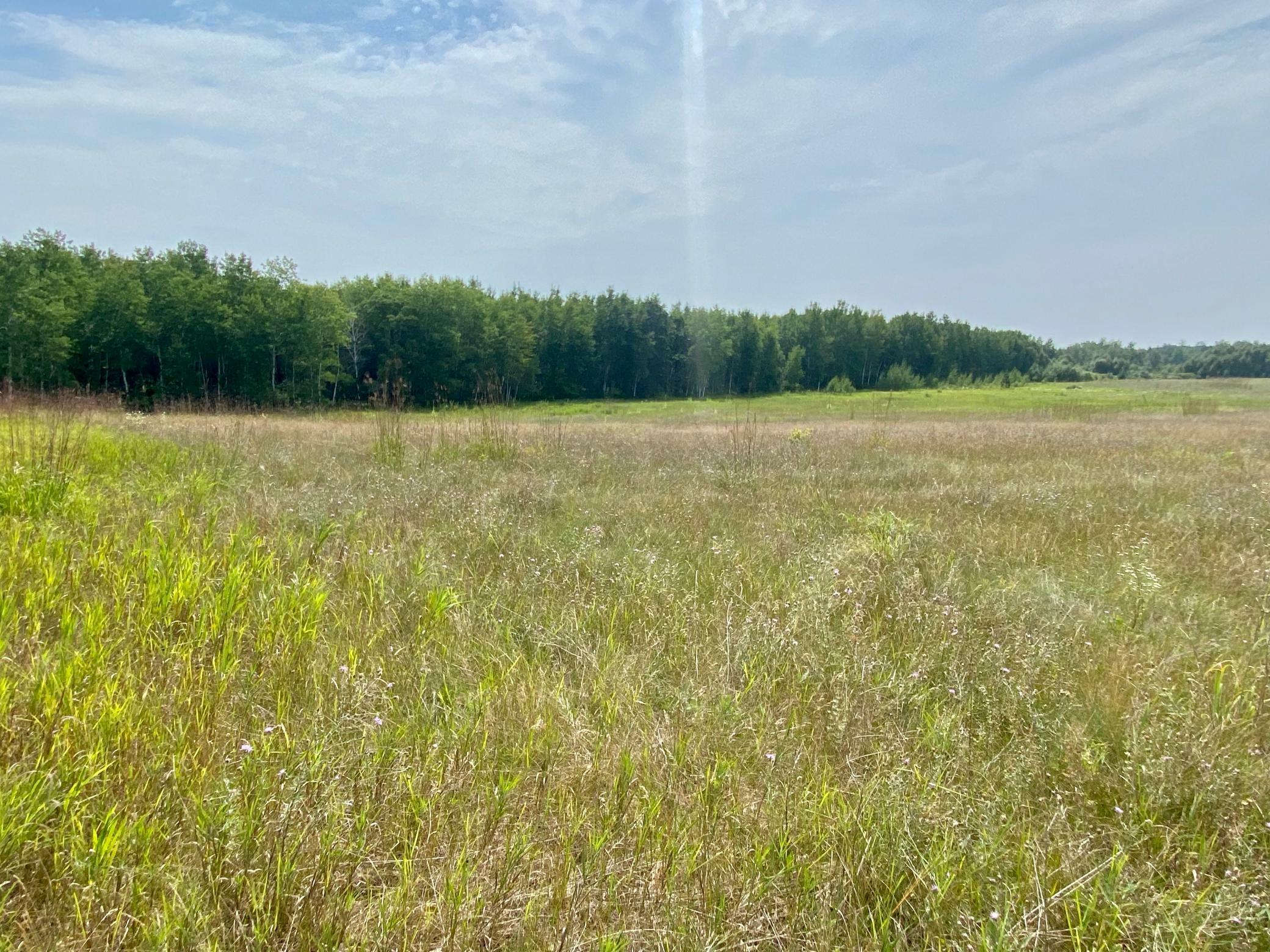 Tbd Carr Lake Road SW  Bemidji MN 56601 photo