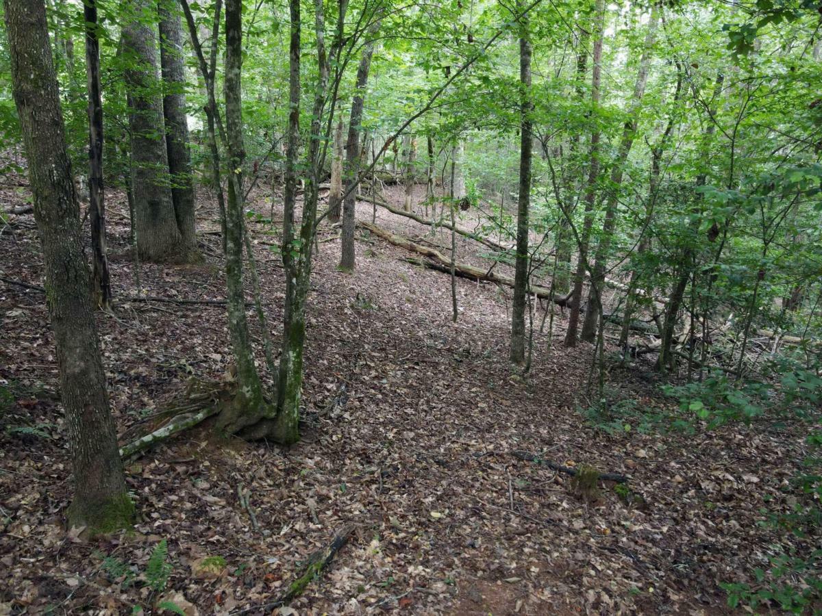 Property Photo:  Lots 1&Amp2 Hemptown Cliffs Road  GA 30560 