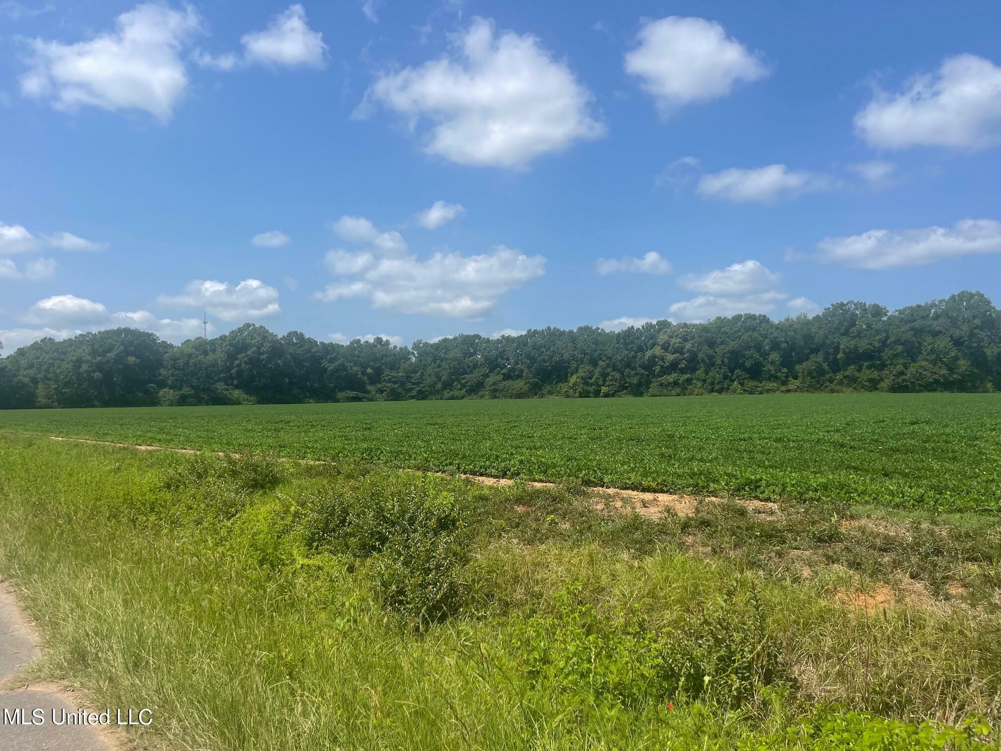 Property Photo:  0 Northside Church Road  MS 39452 