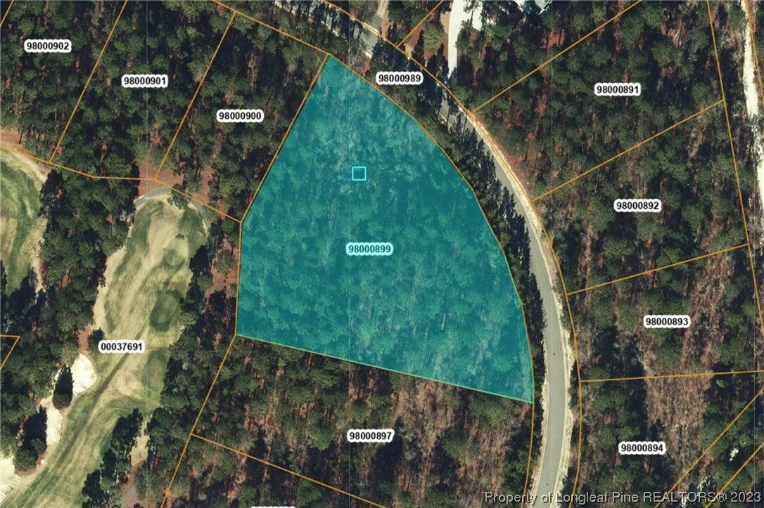 Property Photo: 37 Chestertown Drive NC 28374