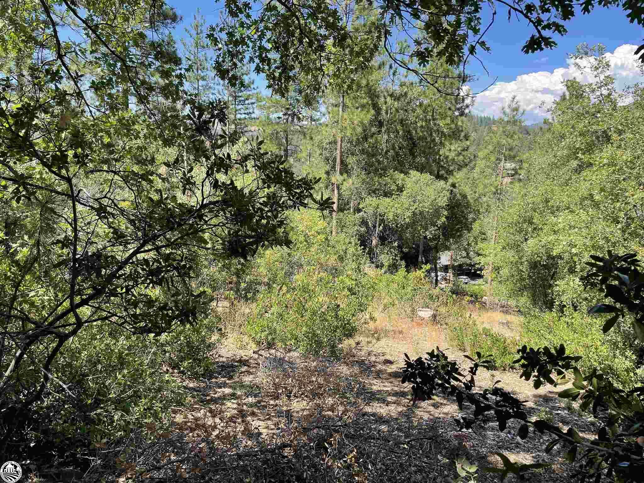 Property Photo:  Lot 76 Skyline Drive  CA 95379 