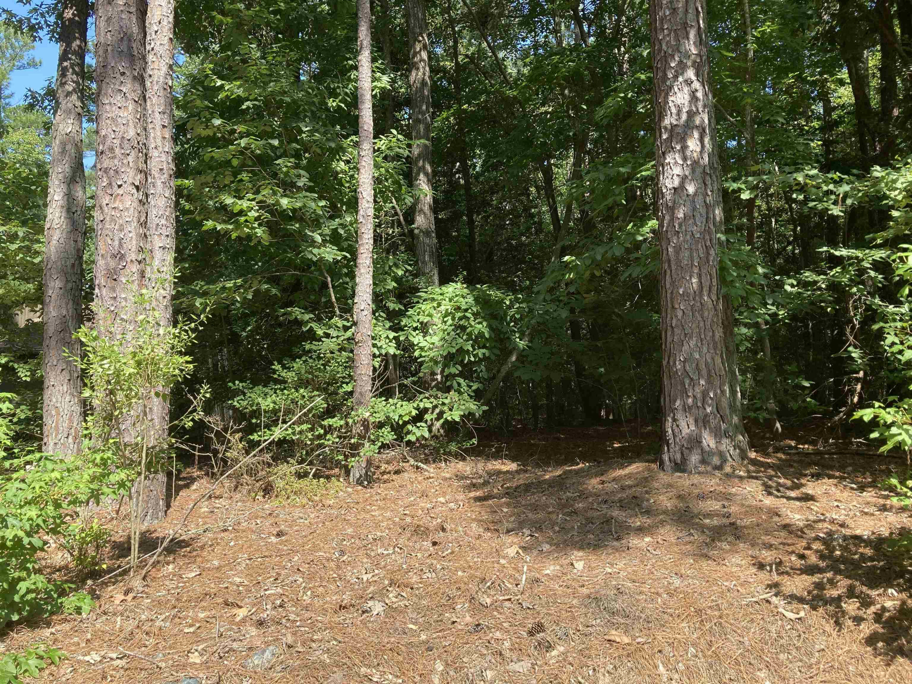 Property Photo:  3011 Bourbon Street  NC 27332 