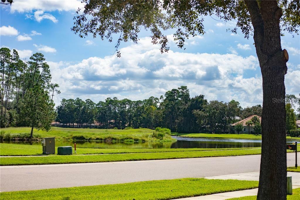 Property Photo: 1475 Shadowmoss Circle FL 32746