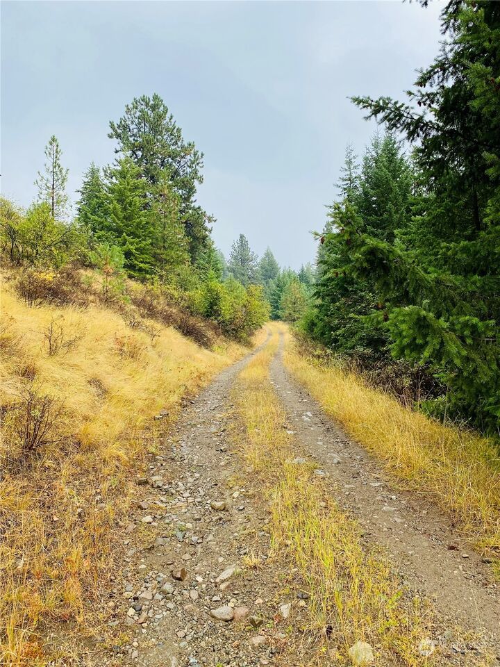 MLS2154075 9999 Lambert Creek Rd, Republic, WA 99166