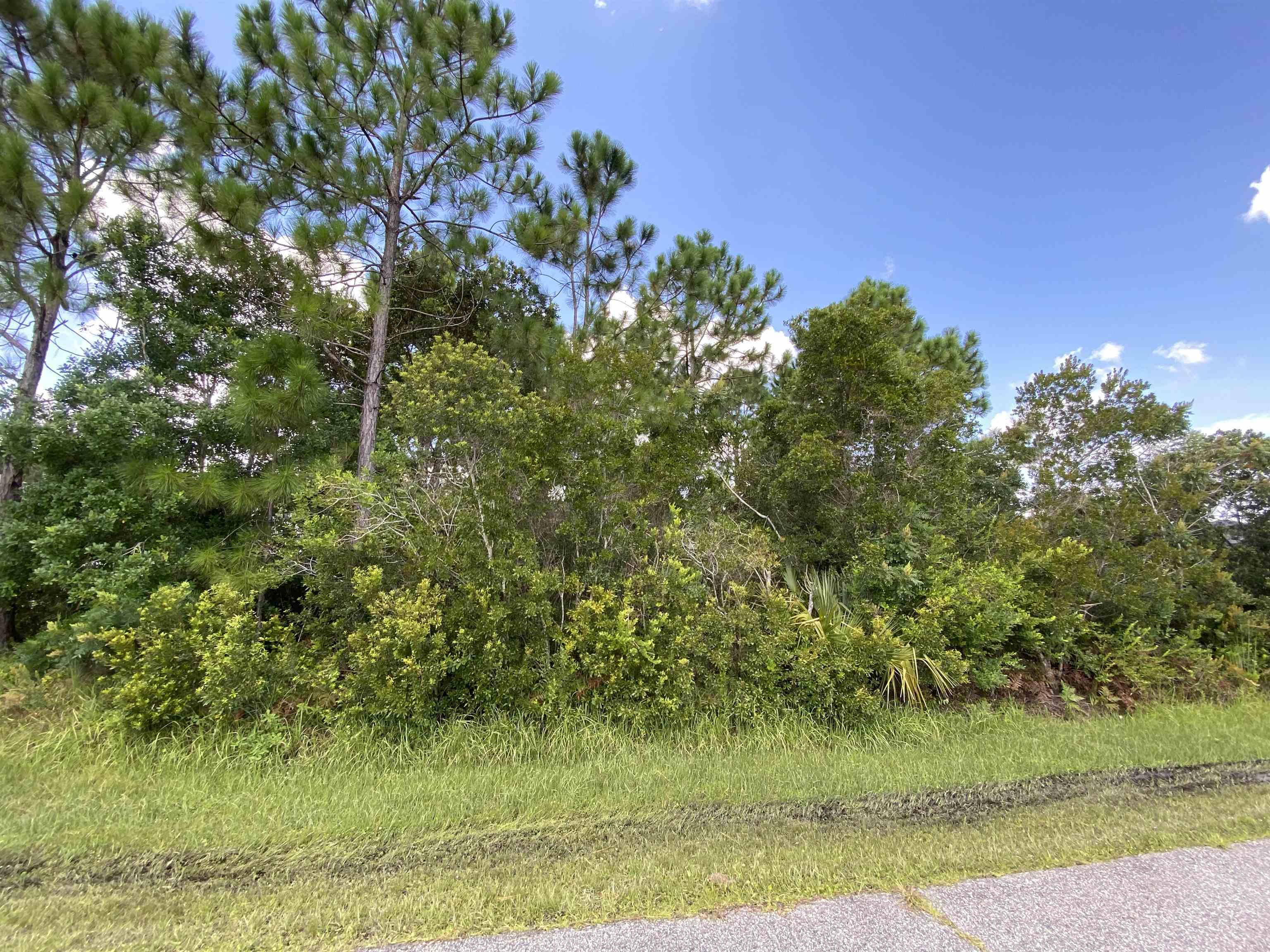 Property Photo:  31 Lamont Ln  FL 32137 