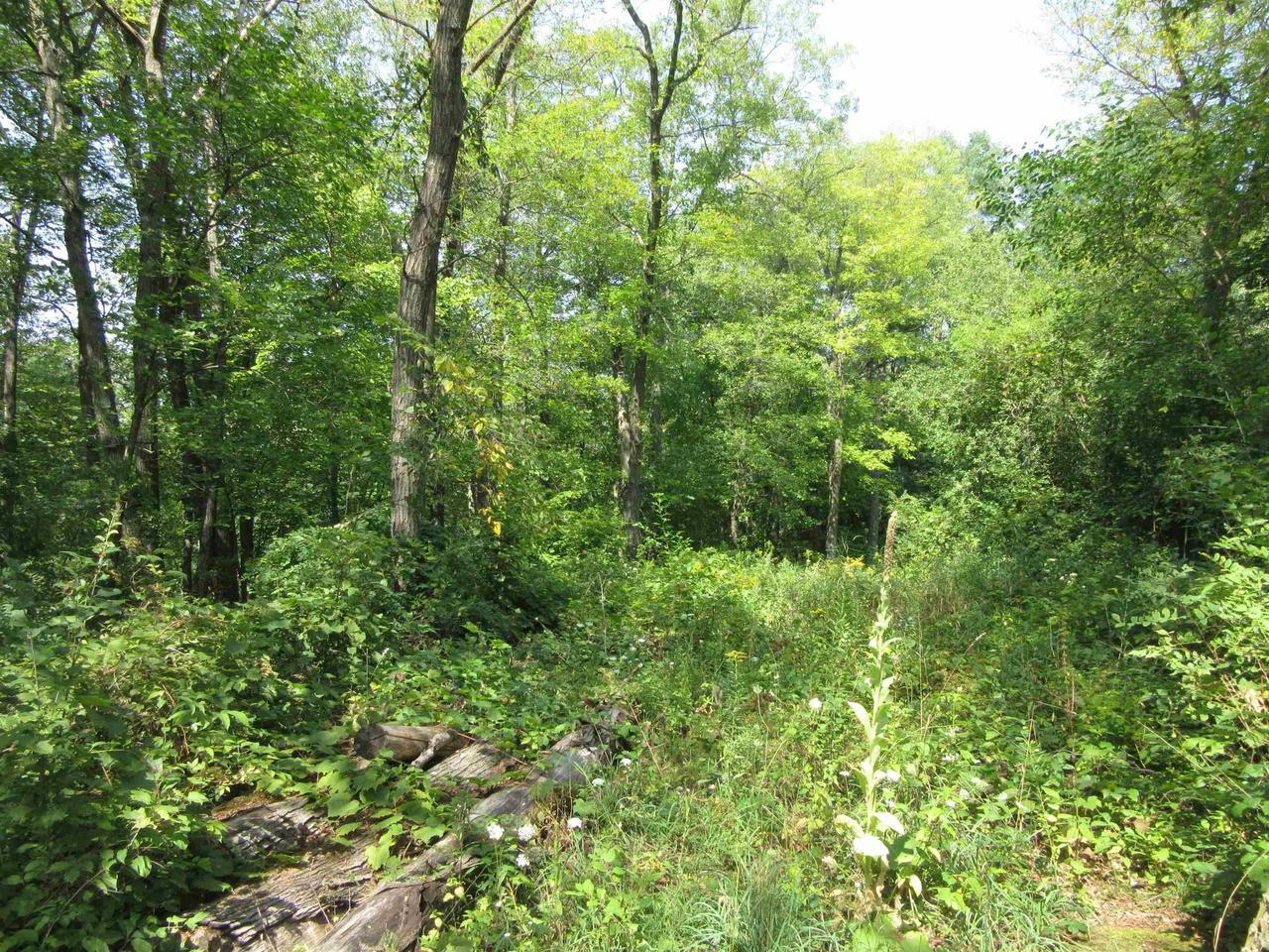 Property Photo: Lot 2 County Road E WI 53954