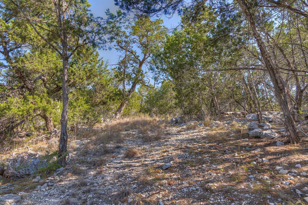 Property Photo: 458 S Vine St TX 78028